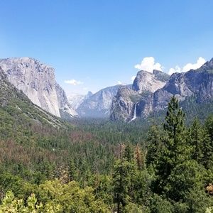 Meet your Posher, Steven